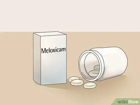 Image titled Control Arthritis Pain in Dogs Step 3