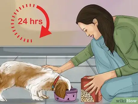 Image titled Prepare a Dog for Air Travel Step 9