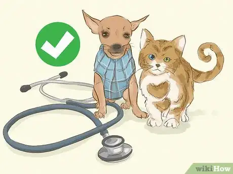 Image titled Be an Animal Lover Step 10