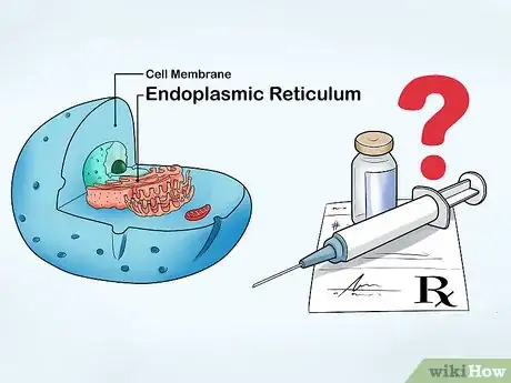 Image titled Treat Leptin Resistance Step 11