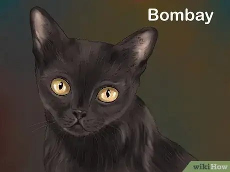 Image titled Choose a Kid Friendly Cat Step 14