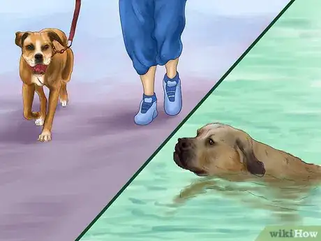 Image titled Know if Your Senior Dog Should Go on a Diet Step 6