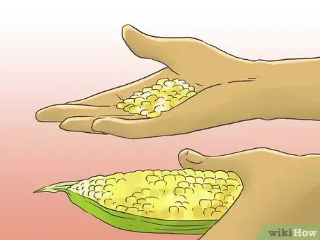 Image titled Raise Chickens for Eggs Step 18