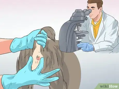 Image titled Diagnose Canine Anal Sac Problems Step 8