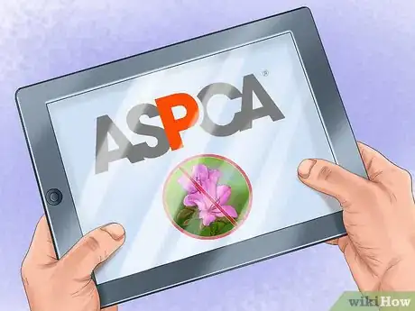 Image titled Avoid Poisoning Your Dog with Lawn Chemicals Step 6