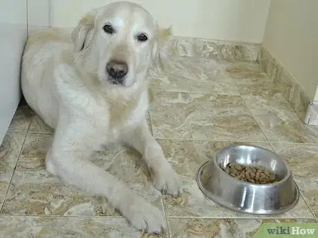 Image titled Diagnose Canine Periodontal Disease Step 6