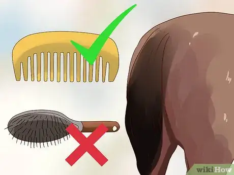 Image titled Apply a Horse Tail Bandage Step 1