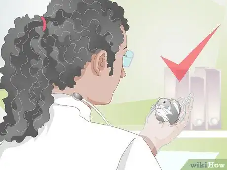 Image titled Deal With a Mean Hamster Step 16