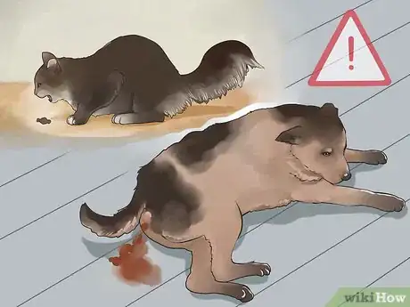 Image titled Prevent Marijuana Poisoning in Dogs and Cats Step 7