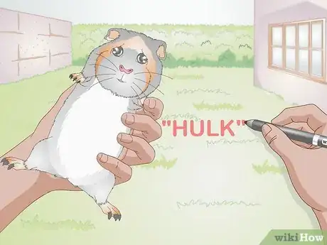 Image titled Choose Your Guinea Pig's Name Step 3