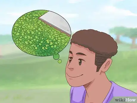 Image titled Grow Dichondra Step 11