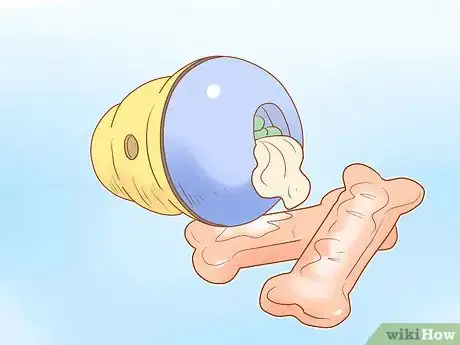 Image titled Keep Your Dog Entertained Step 6