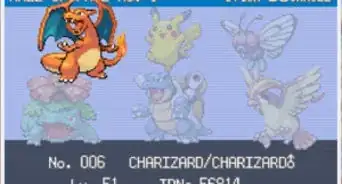 Do a Single Pokémon Run