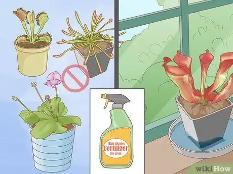 Image titled Raise Carnivorous Plants Step 20