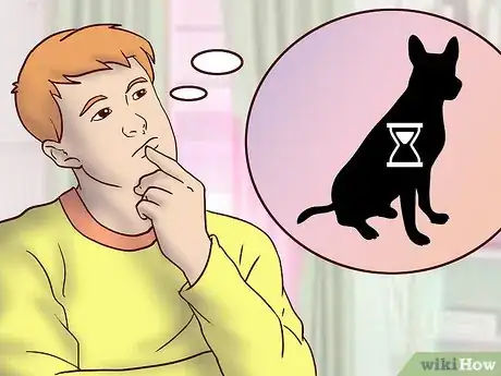 Image titled Adopt a Dog from a Breed Rescue Step 7