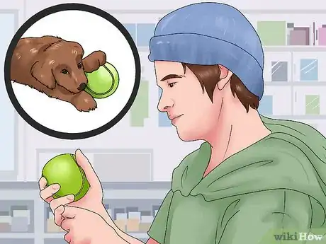 Image titled Give a Dog a Merry Christmas Step 1