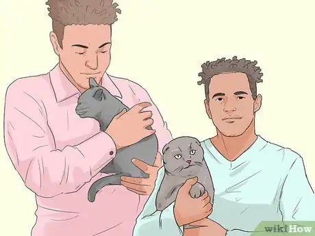Image titled Prevent Fights Between Cats Step 4