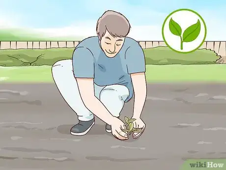 Image titled Grow Rhododendron Step 1