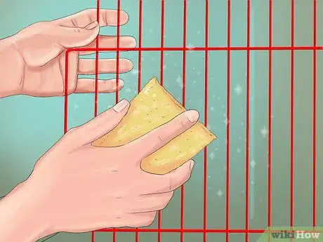 Image titled Care for a Pacific Parrotlet Step 6