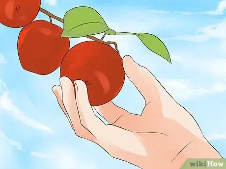 Image titled Grow an Apple Tree Step 17