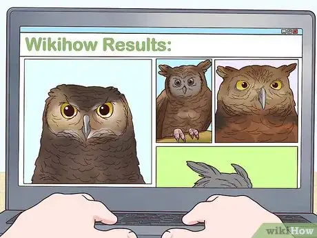 Image titled Photograph Owls Step 1