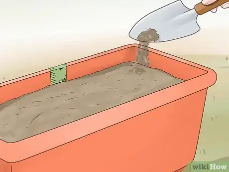 Image titled Grow Carrots in Pots Step 5