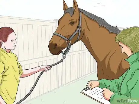 Image titled Protect an Injured Eye on a Horse Step 5