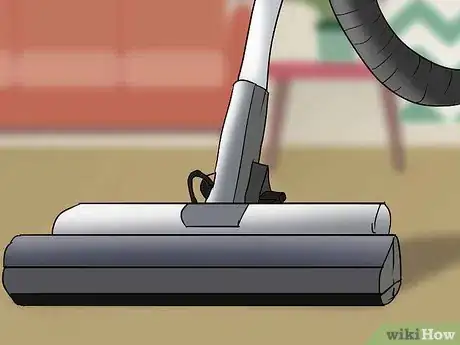 Image titled Treat Flea Bites on Dogs Step 12