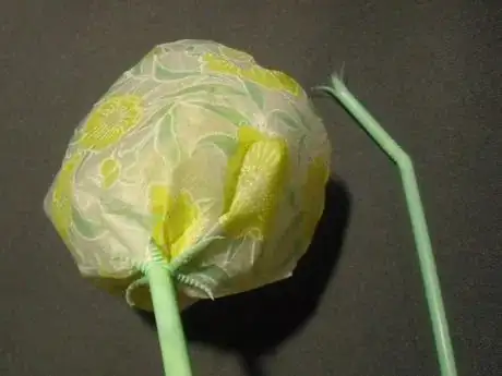 Image titled Nf24_795.JPG