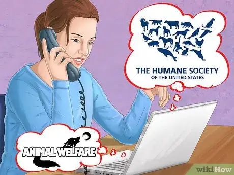 Image titled Save Money on Vet Care for Your Dog Step 11