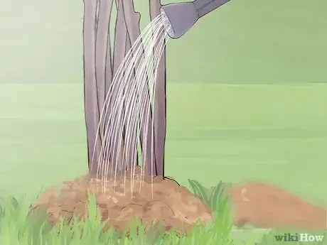 Image titled Prune Spirea Shrubs Step 16