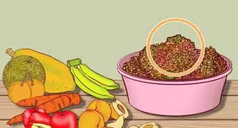 Find Safe Vegetables and Fruit for Horses