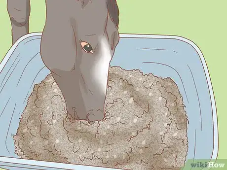 Image titled Manage a Laminitis Prone Horse Step 2