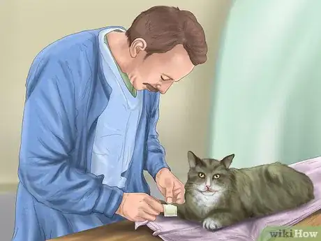 Image titled Choose a Vet Step 3