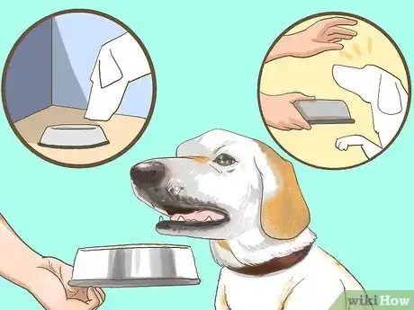 Image titled Get a Dog to Eat Step 1