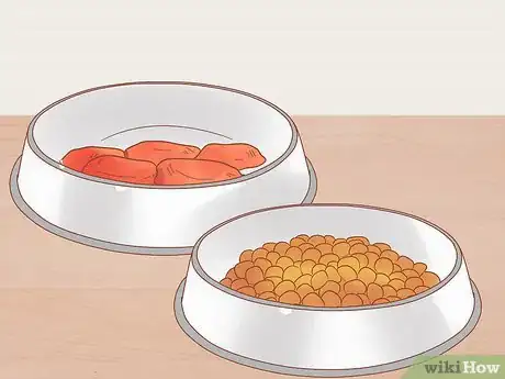 Image titled Deal with a Dog Pregnancy Step 3