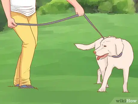 Image titled Train a Rescue Dog Step 14