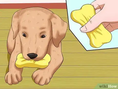 Image titled Get Your Puppy to Stop Biting Step 19