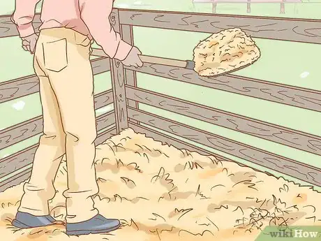 Image titled Manage a Laminitis Prone Horse Step 6