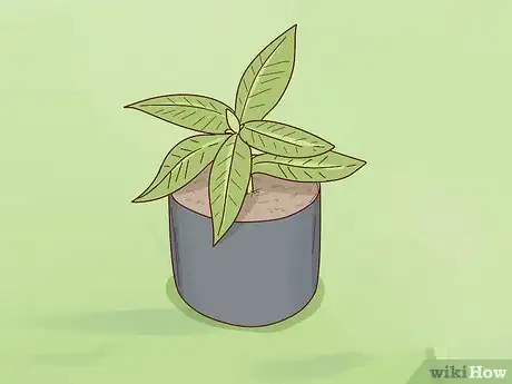 Image titled Grow Rhododendron Step 6