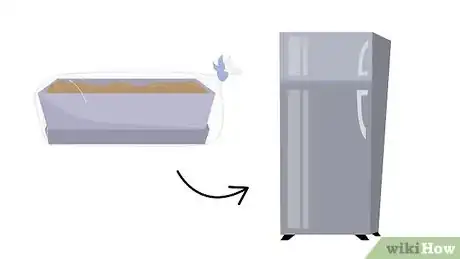 Image titled Grow Birch Trees Step 8