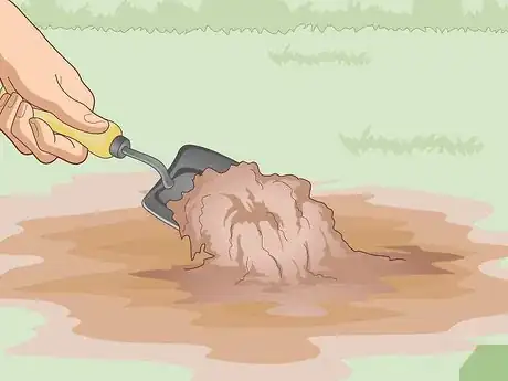 Image titled Care for a Bleeding Heart Step 4