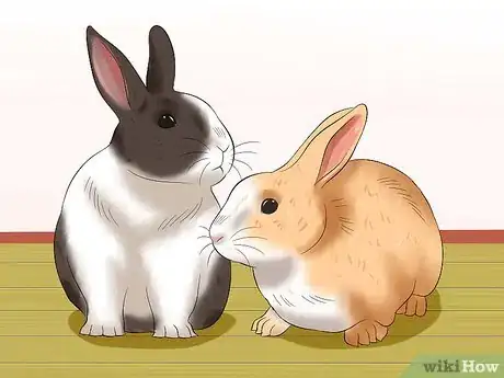 Image titled Socialize Your Rabbit Step 6