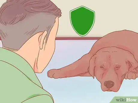 Image titled Save Dogs Step 3