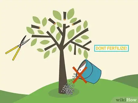 Image titled Prune an Avocado Tree Step 13