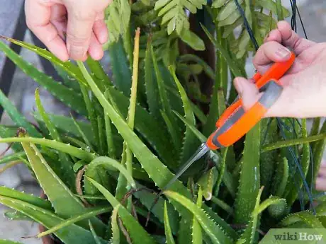 Image titled Get Your Hair from Dry to Smooth Step 19