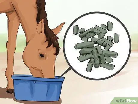 Image titled Deworm a Horse Step 10