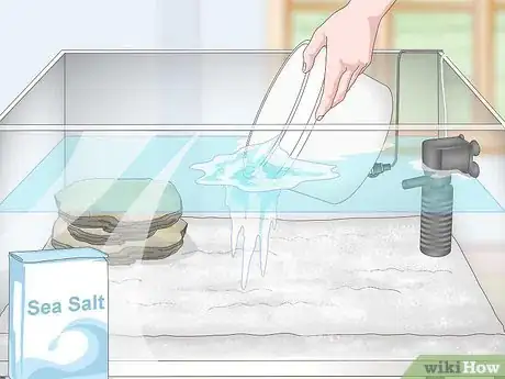 Image titled Set up a Small Reef Aquarium Step 7