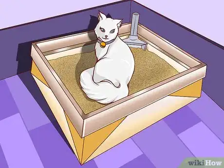 Image titled Train an Outdoor Cat to Use a Litter Box Step 2