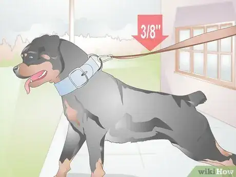 Image titled Choose a Dog Leash Step 10